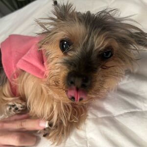 Meet your Posher, Regina